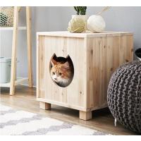Kedi Evi