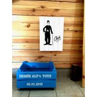 Toy box named with light blue