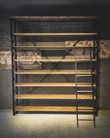 Library with OWD ladder